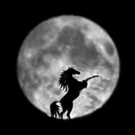 full moon horse